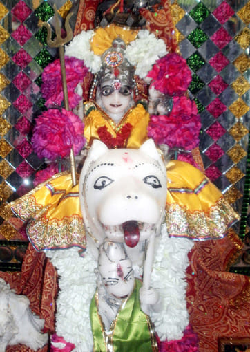 27केएलटी46: कलायत के मां कात्यायनी शक्ति पीठ में पूजा करते श्रद्धालु