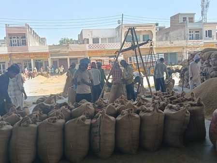 31  नई अनाज मंडी में उठान न होने से लगे धान के ढेर  संवाद