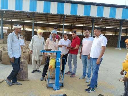 शहर के नई अनाज मंडी में फसल की तोलाई करते हुए खरीद एजेंसी व मार्केट कमेटी अधिकारी। संवाद शहर के नई अनाज मंडी में फसल की तोलाई करते हुए खरीद एजेंसी व मार्केट कमेटी अधिकारी। संवाद