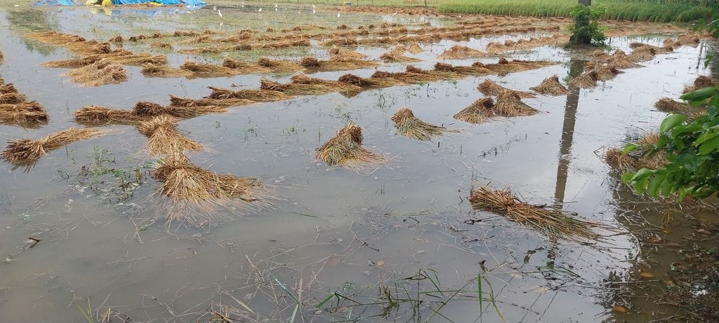 उझानी में पंखा रोड पर भरे बारिश के पानी में होकर निकलते वाहन। संवाद उझानी में पंखा रोड पर भरे बारिश के पानी में होकर निकलते वाहन। संवाद
