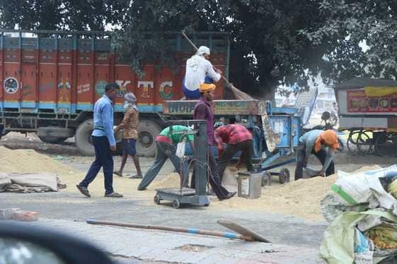 जगाधरी अनाज मंडी में बारिश के दौरान धान इकट्ठा करते मजदूर। संवाद जगाधरी अनाज मंडी में बारिश के दौरान धान इकट्ठा करते मजदूर। संवाद