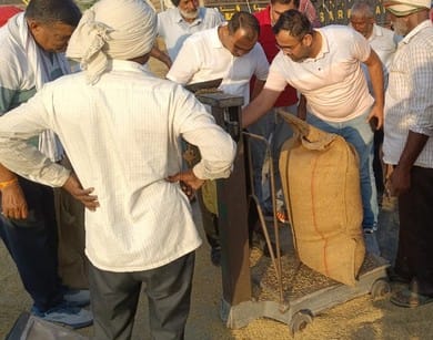 शहर के नई अनाज मंडी में धान को सुखाते मजदूर। संवाद शहर के नई अनाज मंडी में धान को सुखाते मजदूर। संवाद