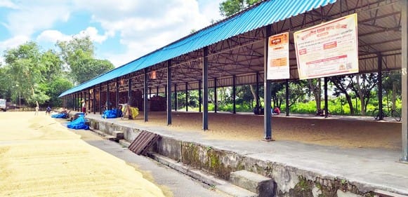तिलहर मंडी समिति में रखा धान। संवाद तिलहर मंडी समिति में रखा धान। संवाद