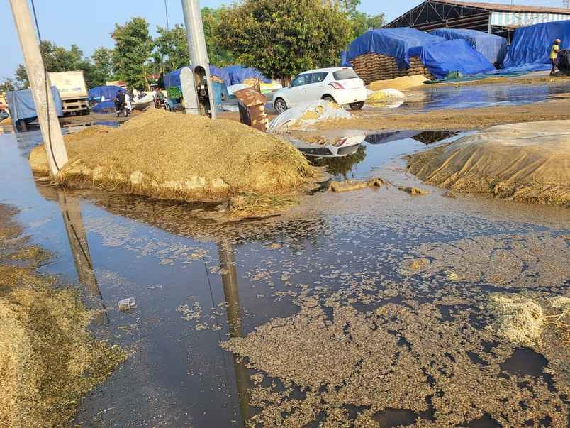 अंबाला। बराड़ा अनाज मंडी में बारिश और आंधी से नुकसान बताते आढ़ती। संवाद अंबाला। बराड़ा अनाज मंडी में बारिश और आंधी से नुकसान बताते आढ़ती। संवाद
