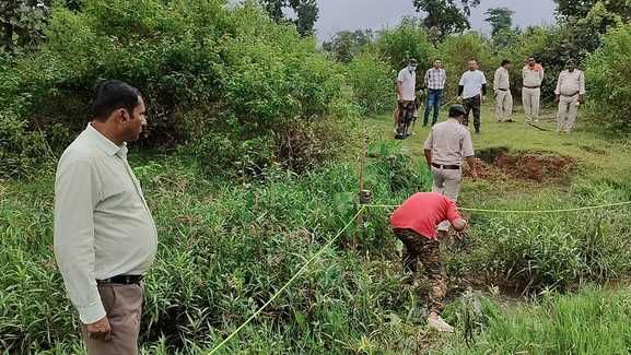 बांधवगढ़ टाइगर रिजर्व के पनपथा बफर जोन में मिला बाघ का शव, शिकार की आशंका से इंकार