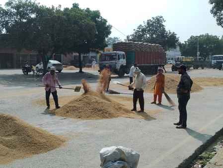 मंडी में धान की जांच करते निगम अधिकारी व अन्य। संवाद
