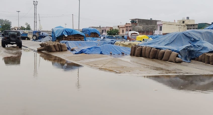 बाबैन। अनाजमंडी में बरसात के दौरान तरपालों से ढकी हुई धान की ढेरियां। संवाद