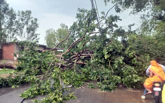 बिजनौर में सोमवार को बारिश में भीगती स्कूटी सवार युवती। संवाद