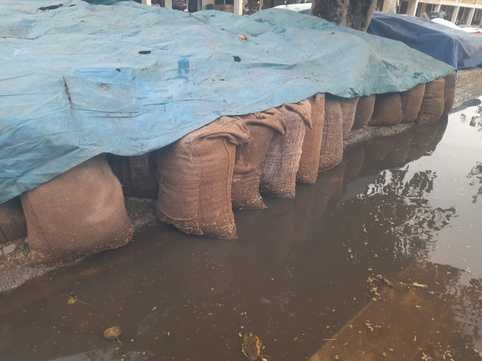 जगाधरी अनाज मंडी में बारिश के पानी में भीगी धान की बोरियां। संवाद जगाधरी अनाज मंडी में बारिश के पानी में भीगी धान की बोरियां। संवाद