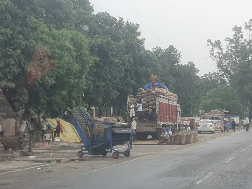 कुरुक्षेत्र। बिकवाली के लिए पहुंची ब्रह्मसरोवर एरिया में लगी धान भीगी। संवाद कुरुक्षेत्र। बिकवाली के लिए पहुंची ब्रह्मसरोवर एरिया में लगी धान भीगी। संवाद