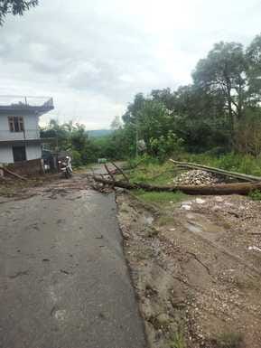 नियाटी में बिजली लाइनों को ठीक करता बिजली कर्मी। स्रोत : जागरूक पाठक