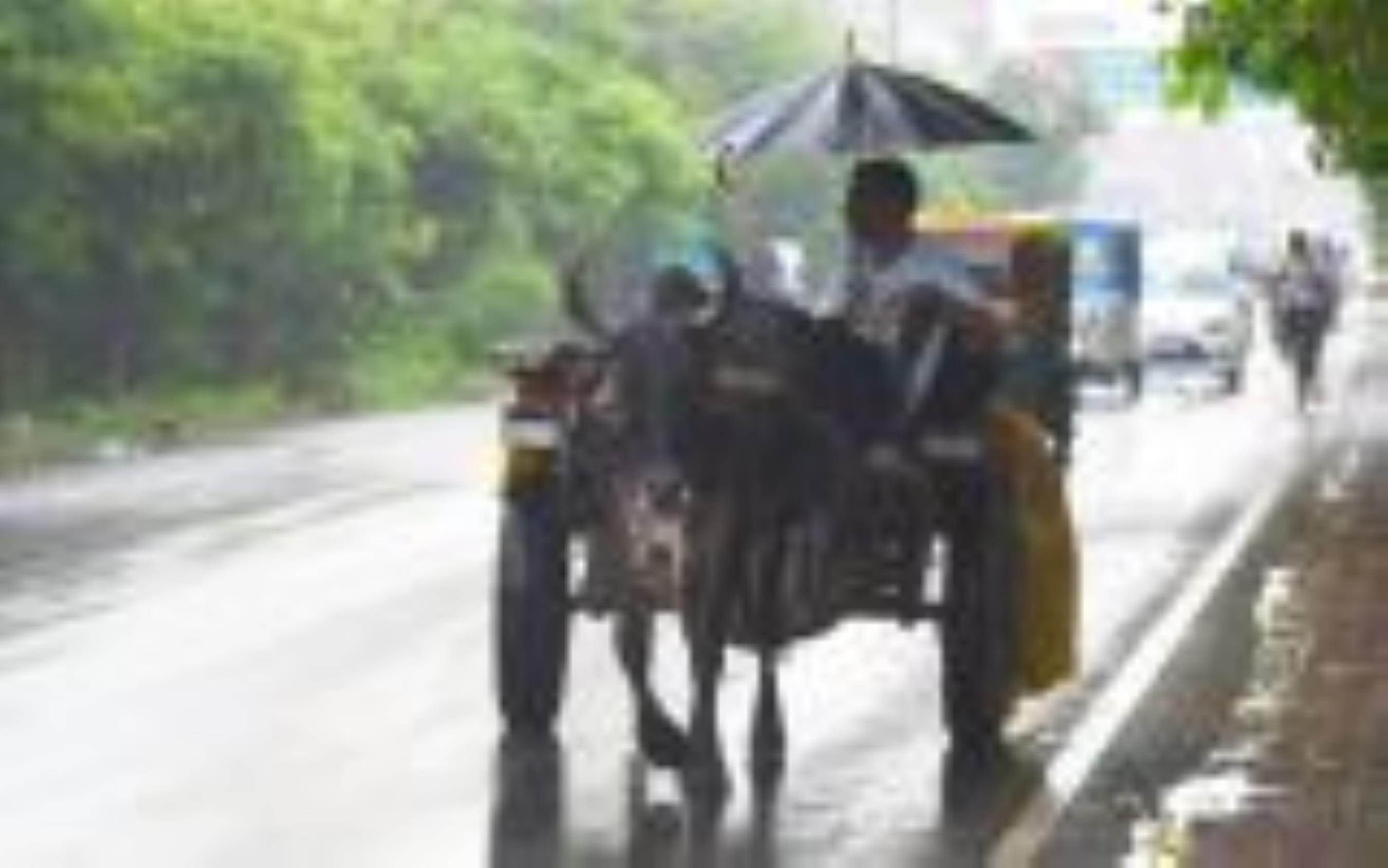सोमवार दोपहर बाद राजधानी के विभिन्न इलाकों में हुई बारिश। सोमवार दोपहर बाद राजधानी के विभिन्न इलाकों में हुई बारिश।