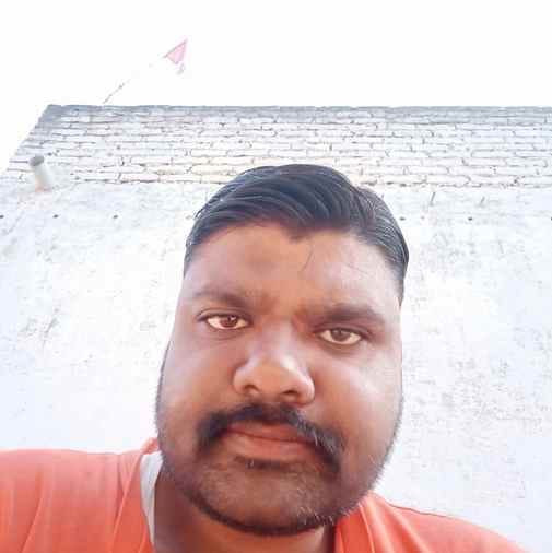 चांदपुर क्षेत्र में गिरी गन्ने की फसल। संवाद चांदपुर क्षेत्र में गिरी गन्ने की फसल। संवाद