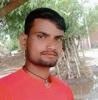 चांदपुर क्षेत्र में गिरी गन्ने की फसल। संवाद चांदपुर क्षेत्र में गिरी गन्ने की फसल। संवाद