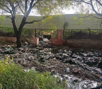 फोटो 22- सोनीपत के देवीलाल पार्क में दूषित पानी का जलभराव होने से उगी बड़ी-बड़ी घास। स्रोत : प फोटो 22- सोनीपत के देवीलाल पार्क में दूषित पानी का जलभराव होने से उगी बड़ी-बड़ी घास। स्रोत : प