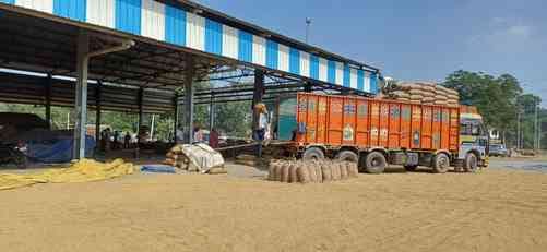 जगाधरी अनाज मंडी में बोरियों में भरी गई धान। संवाद