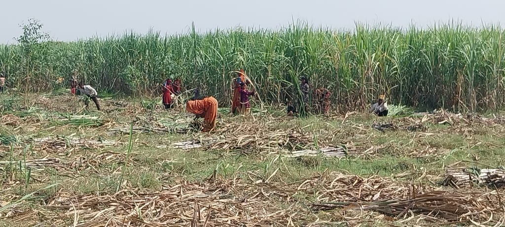 ककोड़ा मेले में चल रहा सड़क बनाने का काम। संवाद ककोड़ा मेले में चल रहा सड़क बनाने का काम। संवाद