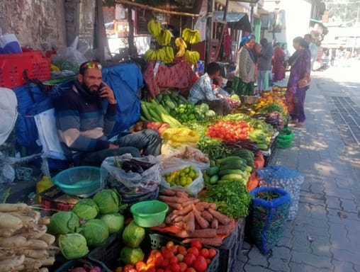 हेमा शर्मा, माहिश, कुल्लू