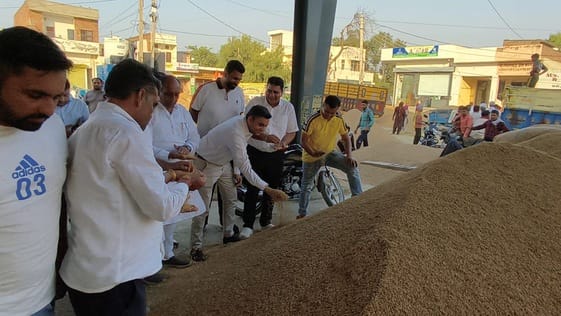 पिहोवा। एसडीएम अभिनव सिवाच अनाजमंडी में निरीक्षण के दौरान धान की नमी जांच करते हुए। संवाद पिहोवा। एसडीएम अभिनव सिवाच अनाजमंडी में निरीक्षण के दौरान धान की नमी जांच करते हुए। संवाद