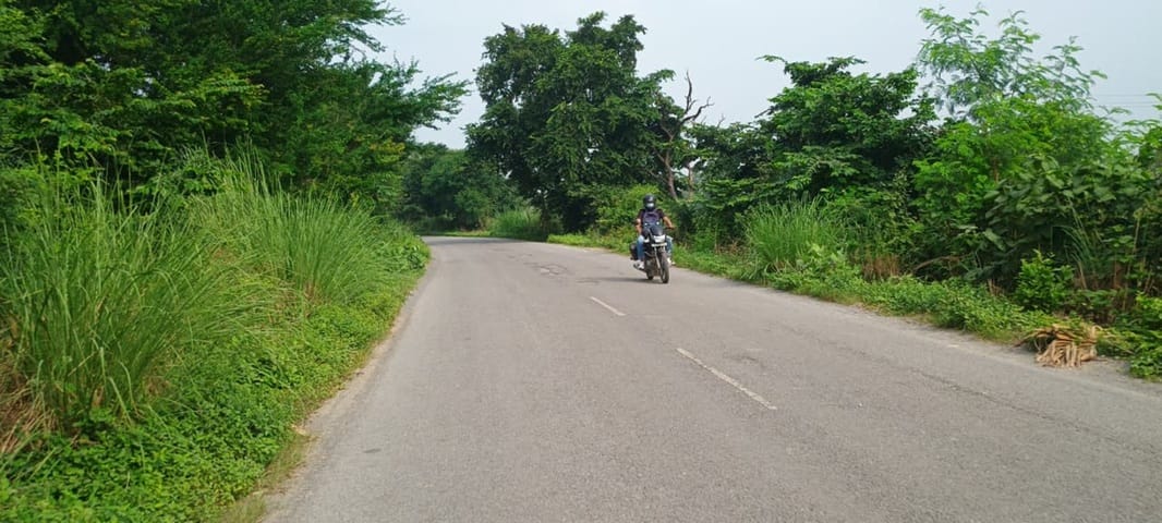 सुहवल-ढढनी मार्ग स्थित अंधा मोड़ के पास दोनों तरफ उगी झाड़ियों के बीच से निकलते बाइक सवार। संवा