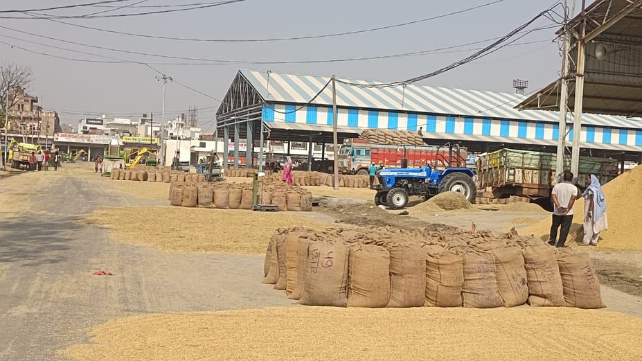 शहर के नई अनाज मंडी में रखी धान की बोरियां। संवाद शहर के नई अनाज मंडी में रखी धान की बोरियां। संवाद