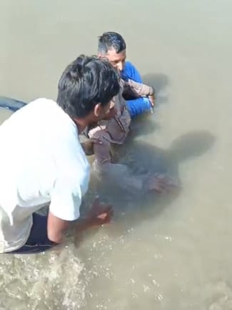 फोटो ऑफ द डे:-बुजुर्ग मां यमुना में गिरी, बेटे ने लगाई छलांग, दोनों को गोताखोर ने बचाया:- सीन ए फोटो ऑफ द डे:-बुजुर्ग मां यमुना में गिरी, बेटे ने लगाई छलांग, दोनों को गोताखोर ने बचाया:- सीन ए