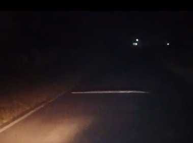 वाहन के सामने खड़ा तेंदुआ