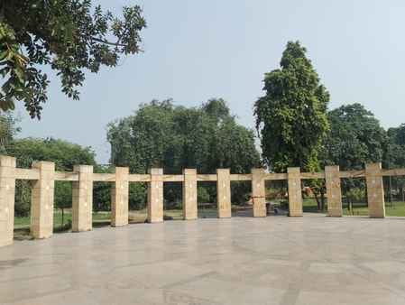 हाली झील में बिना पानी के सूखे पौधे। संवाद