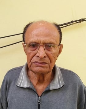 मेघना चौहान