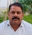 अमीरनगर देवरिया गांव में गन्ने के साथ मिर्च की खेती। स्रोत संवाद
