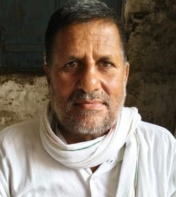 अमीरनगर देवरिया गांव में गन्ने के साथ मिर्च की खेती। स्रोत संवाद