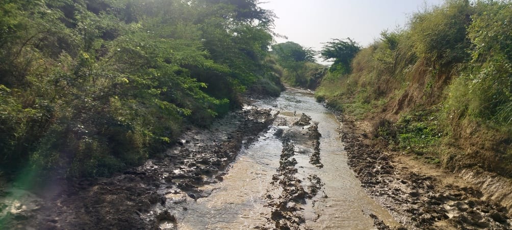 इसी कीचड़ युक्त बदवू दार पानी से होकर गुजरना पड़ता है किसानों को इसी कीचड़ युक्त बदवू दार पानी से होकर गुजरना पड़ता है किसानों को