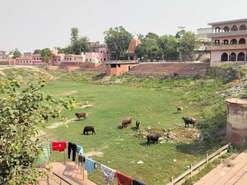 कैथल- तालाब में खड़ा दूषित पानी। कैथल- तालाब में खड़ा दूषित पानी।