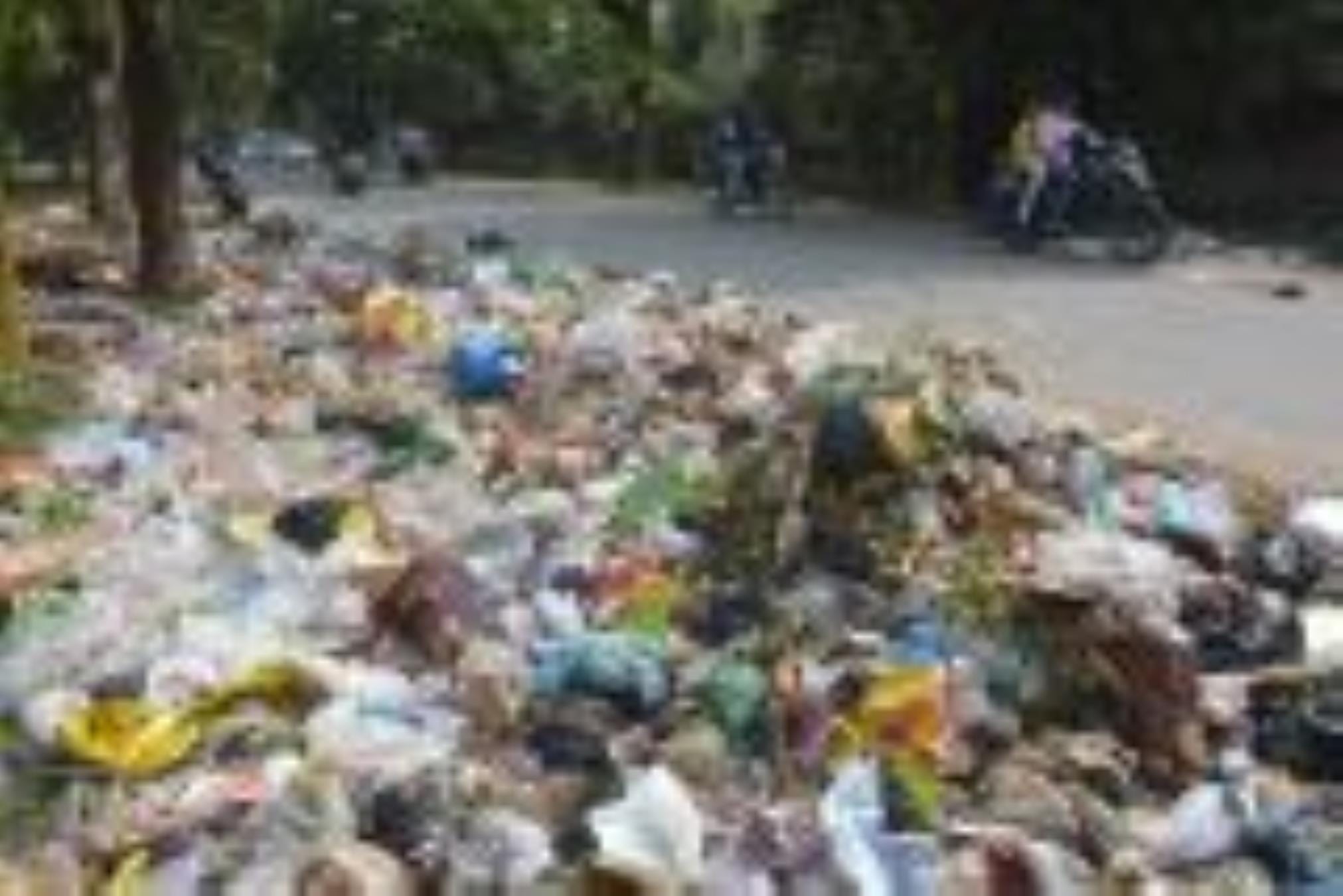 शहर के विभिन्न इलाकों में सड़क किनारे लगा कूड़े का ढेर। 