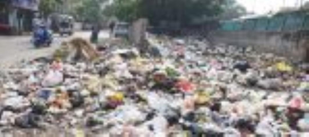 शहर के विभिन्न इलाकों में सड़क किनारे लगा कूड़े का ढेर। 