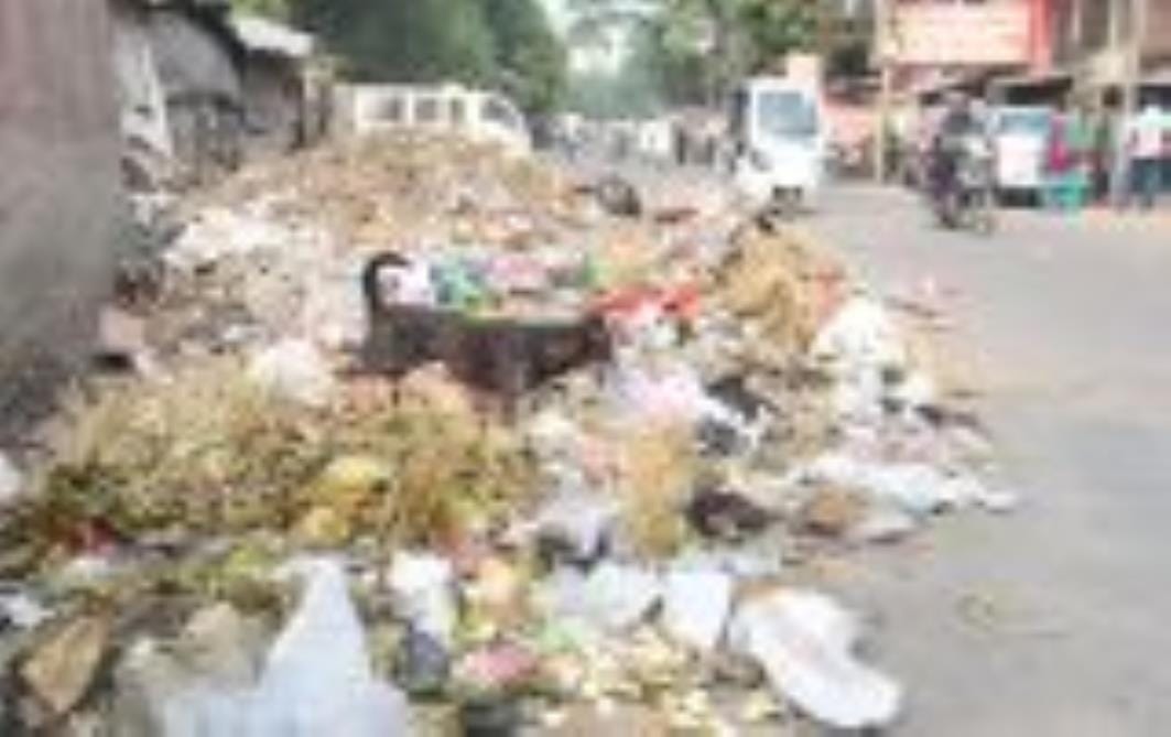 शहर के विभिन्न इलाकों में सड़क किनारे लगा कूड़े का ढेर। 