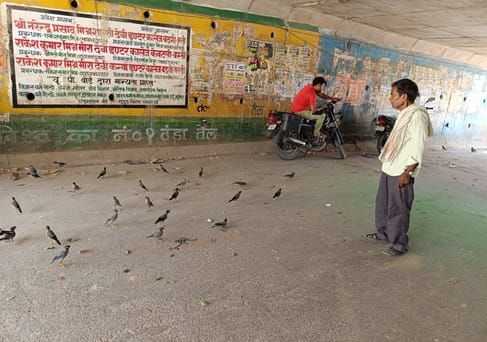 ओवरब्रिज के वीपहोल से झांकती मैना- संवाद ओवरब्रिज के वीपहोल से झांकती मैना- संवाद