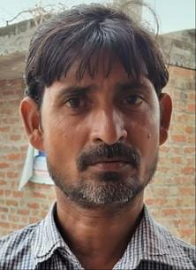 कस्बा सकीट में खेत में कटी पड़ी धान की फसल। संवाद कस्बा सकीट में खेत में कटी पड़ी धान की फसल। संवाद