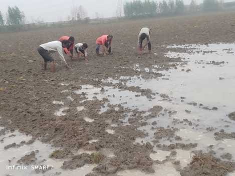 फोटो - 10 काजू दुबे फोटो - 10 काजू दुबे