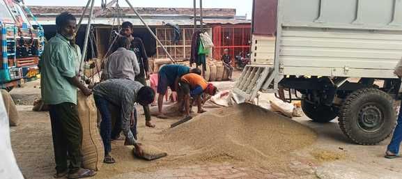 फोटो-15- मंडी में खाद्यान्न उतरवाते किसान। संवाद फोटो-15- मंडी में खाद्यान्न उतरवाते किसान। संवाद