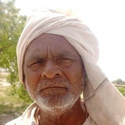 फोटो-15- मंडी में खाद्यान्न उतरवाते किसान। संवाद फोटो-15- मंडी में खाद्यान्न उतरवाते किसान। संवाद