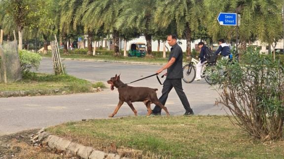 डीएलएफ गार्डन सिटी में बंद घर में चोरी सूचना पर पहुंची पुलिस, फोरेंसिक टीम व डाग स्क्वायड ने जा डीएलएफ गार्डन सिटी में बंद घर में चोरी सूचना पर पहुंची पुलिस, फोरेंसिक टीम व डाग स्क्वायड ने जा