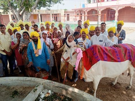 फोटो 17- सोनीपत के जटवाड़ा स्थित प्राचीन गोशाला में गोपाष्टमी पर्व पर गोमाता का पूजन करते मेयर  फोटो 17- सोनीपत के जटवाड़ा स्थित प्राचीन गोशाला में गोपाष्टमी पर्व पर गोमाता का पूजन करते मेयर