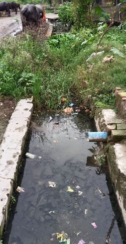 फोटो-30-नाले में कूड़ा व घास जमा होने से रुका गंदा पानी। संवाद