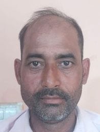 कांट के कुर्रिया कलां क्षेत्र में खड़ी गन्ने की फसल। संवाद