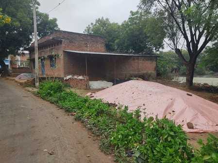 बूंदाबांदी के बीच धान के ढेर को बोरियों में भर हटाती महिला किसान। संवाद बूंदाबांदी के बीच धान के ढेर को बोरियों में भर हटाती महिला किसान। संवाद