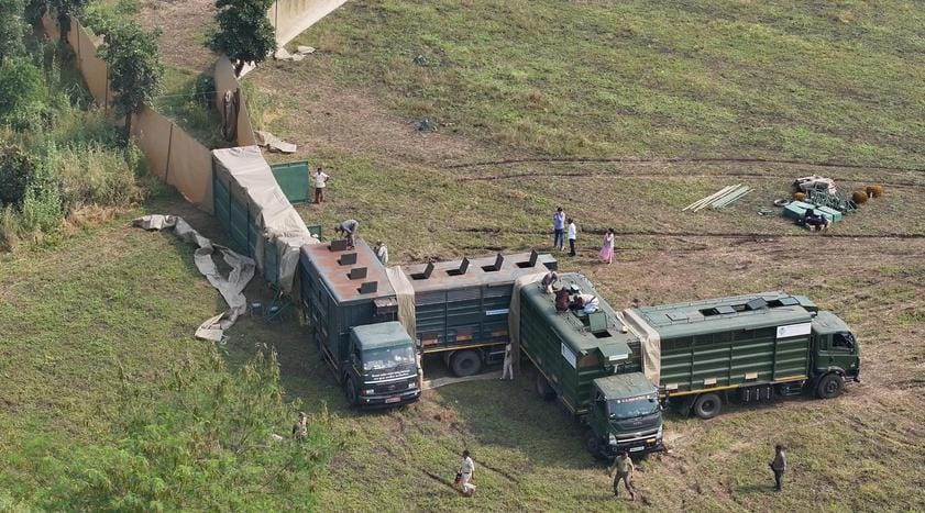 बाड़े में छोड़े जा रहे काले हिरण