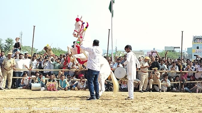 ढोल की थाप पर थिरके अश्व