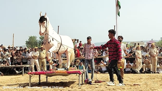 ढोल की थाप पर थिरके अश्व