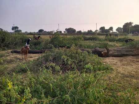 फाइल फोटो मृतक राकेश स्रोत परिजन व दूसरे चित्र में घायल राजू सीएचसी में भर्ती